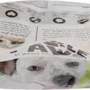 Whole Paws, Whole Paws, Dog Grain Free Salmon & Peas Recipe, 64 Ounce (EXP 10/15/27)