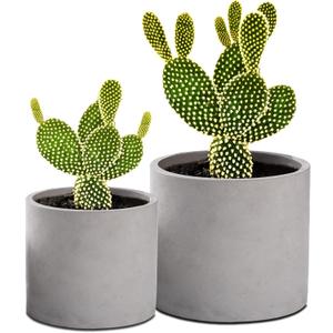 Ekirlin Planters for Indoor Plants, 3.5/4 Inch Plant Pots with Drainage Holes, Removable Rubber Stopper, Non-Slip Soft Pad - Grey Cement Concrete Planter for Most Indoor Outdoor Plants and Flowers