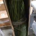 Thiccywoov 2 Pack Artificial Grass Plants, 5ft Tall Fake Lavender Plants Grass Indoor Outdoor in Pot, UV Resistant Fake Tall Greenery Lavender for Front Porch, Patio, Balcony Home House Decor