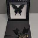 ITrixgan Taxidermy Framed Real Butterfly Taxidermy, Butterfly Specimen For Science Class Insect Lover, Gothic Home Decor Wall Decor, Taxidermia Goth Room Shelf Decor, Gothic Wall Art (Black)