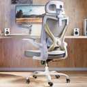 Ergonomic Office Chair - X-Shaped Computer Desk Chair Comfy, Gaming Chair, Office Chair with Lumbar Support, Mesh Office Chairs with Headrests, Desk Chair for Long Hours (Grey Gold)