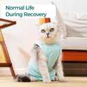 Cat Recovery Suit Breathable Post-Surgery Onesie for Male & Female Spay/Neuter, Light Green, M
