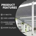 Konideke 24 Inch F17T8/865 Fluorescent Bulb Daylight 6500K, 17 Watt T8 Light Bulb, 2 Foot Fluorescent Light Bulb, 1460 lumens, G13 Medium Bi-Pin Cap 8 Pack