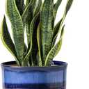 8 Inch Plant Pot: Ceramic Planter with Drainage Hole & Saucer - Gradient Blue Flowerpot for Indoor & Outdoor Plants with Separate Tray