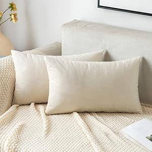 Pillowcase 12 x 20 In 2 Pack Ivory, Velvet