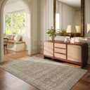 3x5 Washable Area Rugs for Entryway: Door Mat Indoor Entrance Throw Rug Stain Resistant Non Slip Low Pile Soft Carpet for Kitchen Front Door Indoor Entrance Entry Bedroom