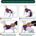 Kuoser Recovery Suit for Dogs Cats After Surgery, Professional Pet Recovery Shirt Dog Abdominal Wounds Bandages, Substitute E-Collar & Cone,Prevent Licking Dog Onesies Pet Surgery Recovery Suit