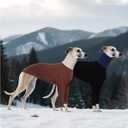 DENTRUN Italian Greyhounds Clothes Dog Cozy Sweater, Fluffy Fleece Jumper Soft Pyjamas for Greyhound-shapped Whippet-Like Dogs, Turtleneck Warm Dog Lightweight Sweatshirt for Cold Weather, Brown, XXS