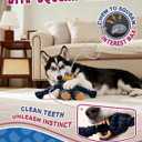 Ragged Bear Dog Toys for Aggressive Chewers, Indestructible Dog Toys with Tough Rope Core, Resistant Squeak Pet Toy for Boredom and Teething, Suitable for All Breed