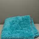 Rezutan Super Soft Rug for Bedroom,Modern Shaggy Rug Fuzzy Non-Slip Kids Nursery, Living Room, Bedroom Decor-Teal Blue 2x3 Feet