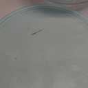 Luvan Glass Mixing Bowls with Lids Set(4.5QT, 2.7QT, 1.1QT)-Large Glass Mixing Bowls, Clear Salad Bowl for Baking, Cooking, Serving, Food Prep, 3PC Nesting Bowls for Kitchen Storage & Dishwasher Safe