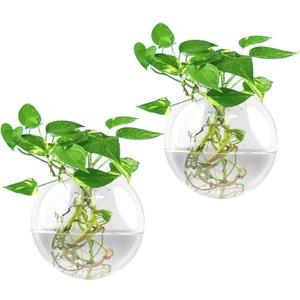 Wall Vases,Wall Hanging Planter Propagation Station,Clear Plant Terrarium Wall Vase,2 PCS Glass Wall Vases for Flowers,Hydroponics Plants,Home Office Decor Present (Plants Not Included)