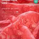 SHARICCA Lace Underwear for Women Sexy Cheeky Biknis Panties Soft Hipsters Pack (XL)