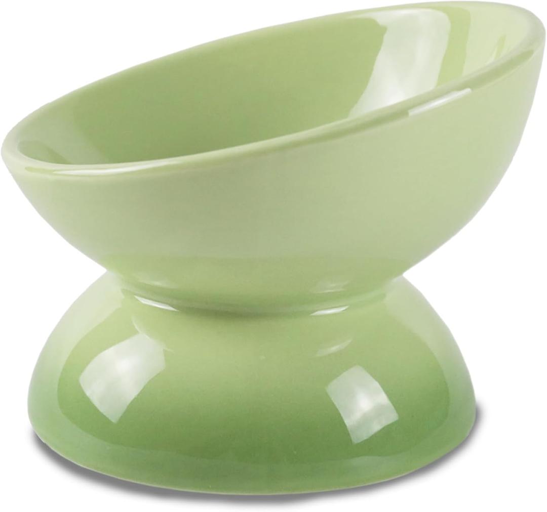 Ceramic Raised Cat Food Bowl, Tilted 15 Shallow Dish, Anti Vomiting, Safe, Microwave & Dishwasher Safe, Green