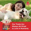 PLATO Turkey Real Strips Natural Dog Treats - Real Meat - Air Dried - Made in the USA - Turkey & Cranberry, 3 ounces (EXP 02/14/26)
