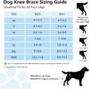 Dog Knee Brace for Torn ACL/CCL & Hind Leg Support - Adjustable Brace for Arthritis Relief, Joint Stability & Injury Recovery - Fits Small & Medium Dogs