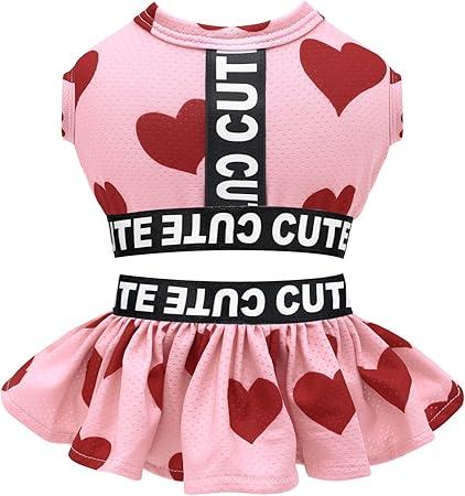 CuteBone Two Piece Dog Sports Dress Athleisure Puppy Valentines Skirt Lightweight Small Dogs Girl Clothes Cat Apparel SPS16S S CuteBone Two Piece Dog Sports Dress Athleisure Puppy Valentines Skirt Lightweight Small Dogs Girl Clothes Cat Apparel SPS16S S