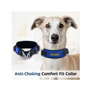 AnccoPlus Comfort Walking Dog Collar Size M Color Blue