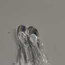 Soup Spoons Stainless Steel Dinner Spoons Set of 6 Chinese Soup Spoon Mirror Polished Asian Soup Spoons for Bouillon Dessert Cereal Thai Miso Ramen (Medium)