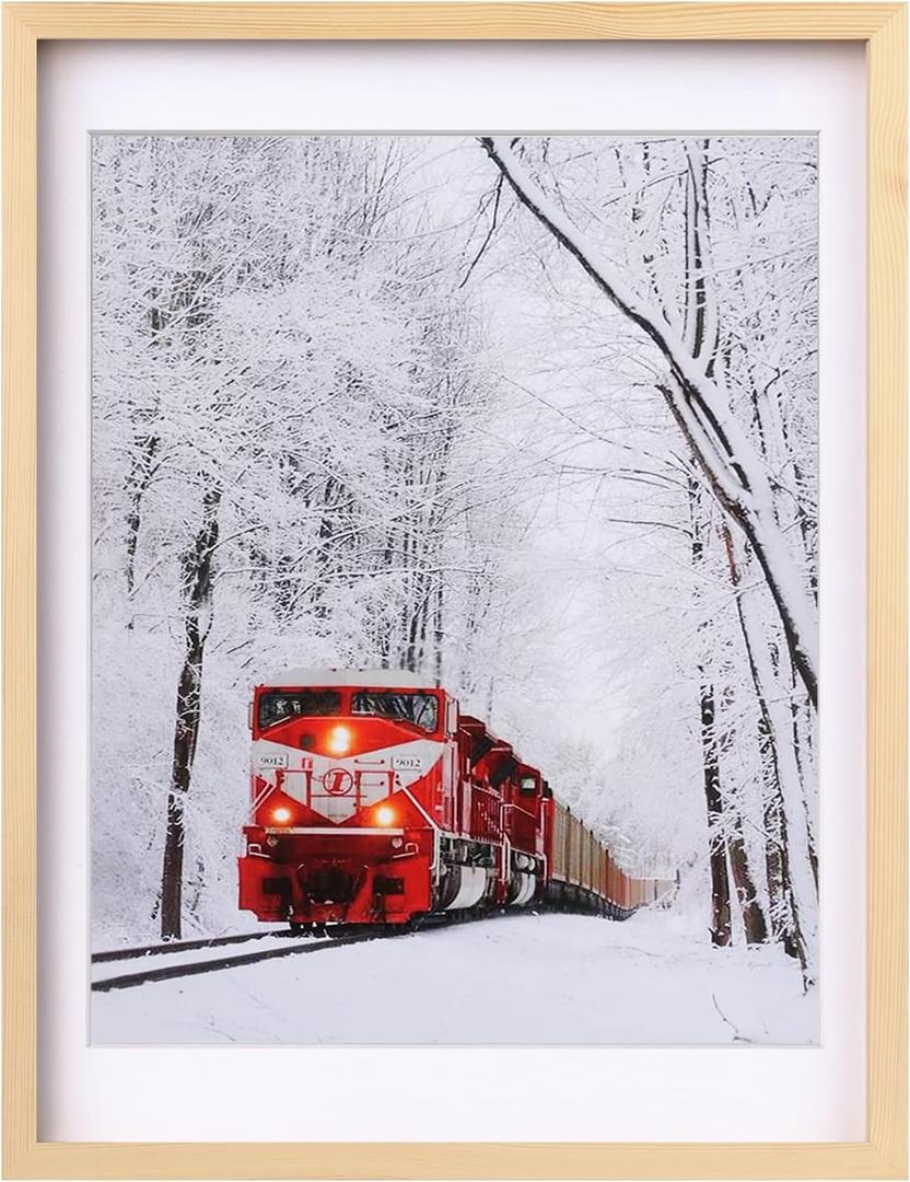 Egofine 18x24 Poster Frame Solid Wood Frame with Plexiglass Matted for 16x20 for Wall Mounting Hanging Picture Frame Vertically or Horizontally, Natural Wood