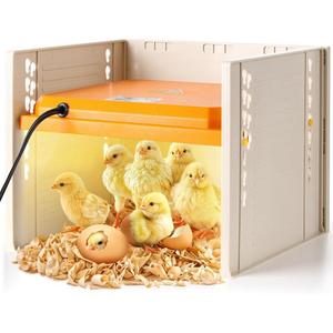 Brooder Heater for Chicks, 10" x 10" for 15 Chicks Heating Plate with Adjustable Height and Angle 15W Chicken Brooder Warm Like Mother Hen (1Pack)