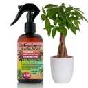 Professional Money Tree Spray Fertilizer Mist for Home Gardening | 3-1-2 Gentle Blend Mist for Healthy Leaves & Growth | Essential Nutrients for Money Tree - 8oz