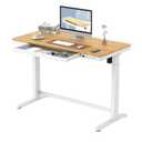 Electric Standing Desk with Drawers Charging USB Port, Height Adjustable 48" Whole-Piece Quick Install Home Office Computer Laptop Table with Storage