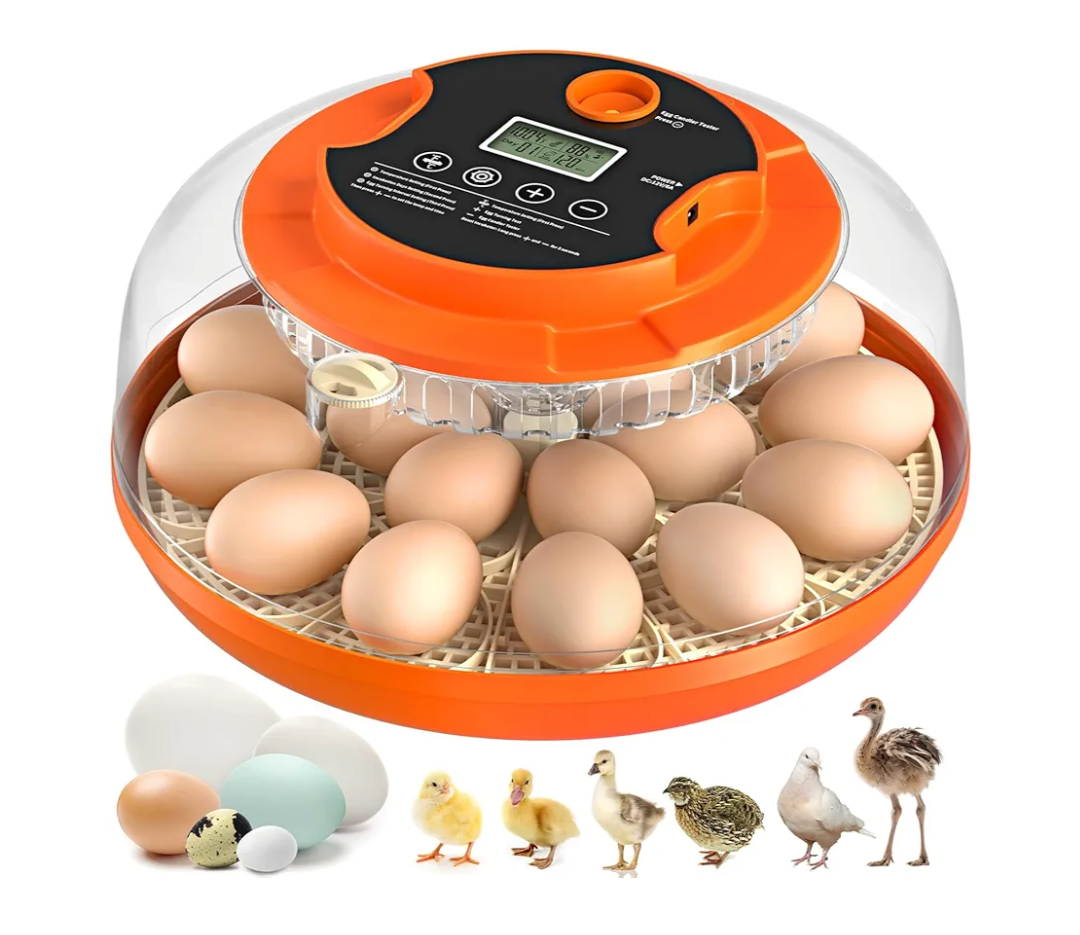 18 Egg Incubator with Automatic Egg Turning and Humidity Control, Incubators for Hatching Eggs, Chicken, Ducks, Goose, Pigeon, Quail, Parrot Incubator for Farm, Lab, Science Classroom, Home (Orange)