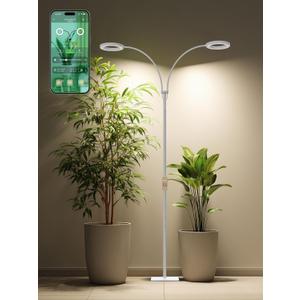 GLOWRIUM Smart Grow Lights for Indoor Plants with Auto Timer,Full Spectrum LED Floor Plant Light for 3 Spectrum Modes,6 Dimmable Levels,63inch Adjustable Height for Large Plants (White, 40W)