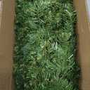 9FT Christmas Garland Pre-lit with 50 Lights, Plug in, for Mantle/Stair/Indoor/Outdoor Xmas Garland Green