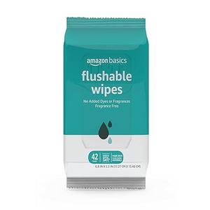 Amazon Basics Flushable Adult Toilet Wipes, Fragrance Free, 42 Count (Pack of 1)