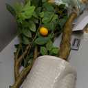 Artificial Lemon Tree, 5 feet Indoor Fake Plants, Comes with 21 Simulated Lemon Fruits, Adjustable Branches, for Home Living Room Decorations and Office Decorations
