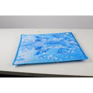 Summer Keep Your Pet Cool