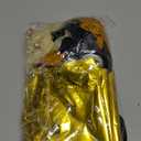 Black and Gold Birthday Party Decorations Kit for Men Women, Cheers Beer Confetti Black Gold Balloon Happy Birthday Banner Fringe Curtains Swirl Circle Dots Tassels Pom Graduation 30th 40th 50th Him