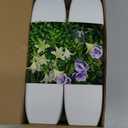 Der Rose 4 Pack Small Fake Plants Mini Artificial Faux Plants Indoor with Flowers Spring Decorations for Home Room Farmhouse Desk House Bathroom Decor