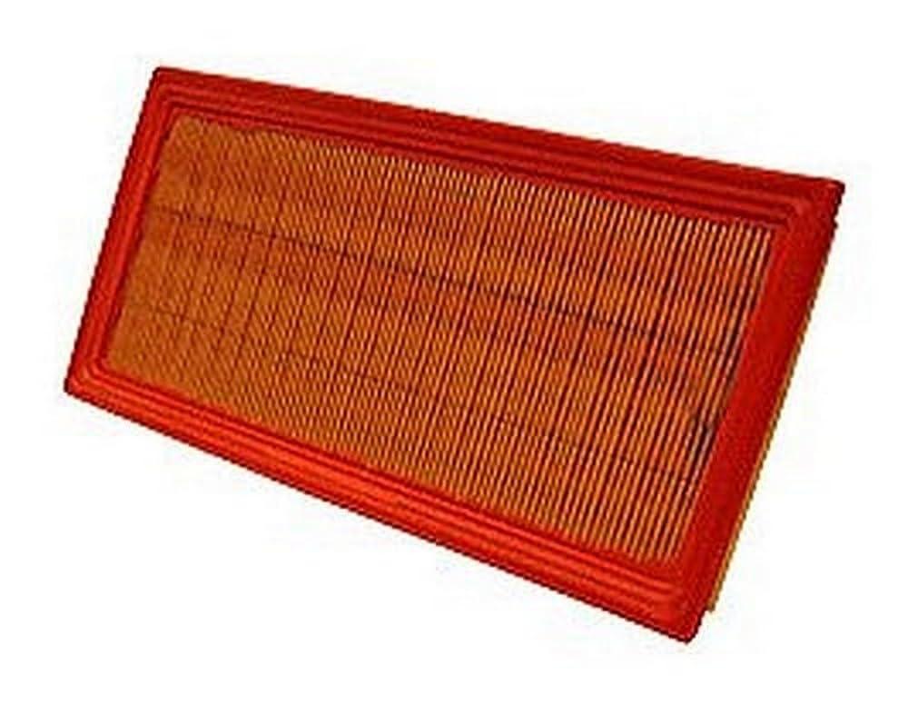 WIX 46916 Air Filter Panel