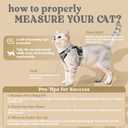 rabbitgoo Cat Harness and Leash for Walking, Escape Proof Soft Adjustable Vest Harnesses for Cats, Easy Control Breathable Reflective Strips Jacket, Grey, M