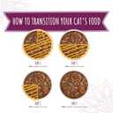 Soulistic Moist and Tender, Mystic Menu Variety Pack, 5.5oz Can, Pack of 12