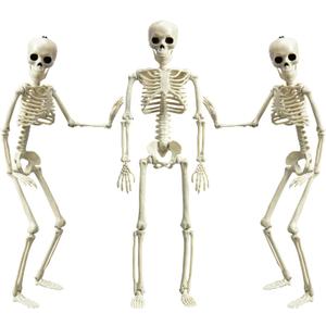 XONOR 16 Posable Halloween Skeleton- Full Body Halloween Skeleton with Movable Joints for Haunted House Props Decorations (3pcs)