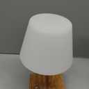 Shower Lamp Waterproof,4000mAh Battery Rechargeable Cordless Table Lamp for Indoor & Outdoor Use,3 Color-temps & Dimmable LED Night Light for Shower Bathroom Bedroom Restaurant Home 10.8"H- Wood Grain