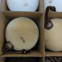 Palonu 24 Pcs Velvet Christmas Balls, 3.15 Inch Flocked Ornaments with Velvet Ribbons, Shatterproof Plastic Christmas Bulbs Ornaments for Holiday Xmas Hanging Decoration (Brown Khaki Cream White)