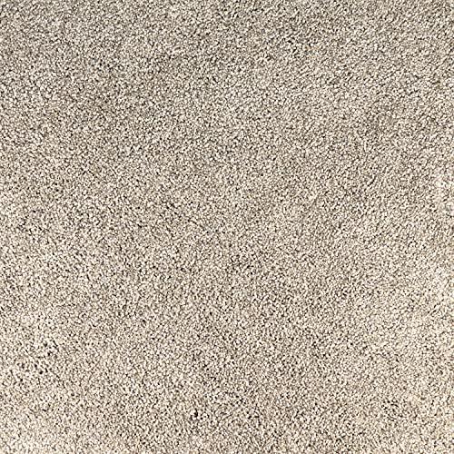 Peak Performance Peel and Stick Carpet Tiles with Attached Cushion, Easy DIY Install, Soft Residential Carpet, Seamless Appearance (Denali, 10 Tiles - 22.5 Square Feet)