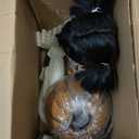 Haunted Hill Farm Lunging Pumpkin Carver Zombie Girl by Tekky, Motion-Activated Talking Halloween Animatronic for Indoor or Covered Outdoor Creepy Halloween Decorations, Plug-in or Battery Operated