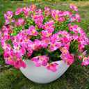 trytuny Artificial Flowers for Outdoor, Realistic Faux Plants for Outside Indoor Porch Patio Window Box Planter Home Decor (12pcs - Rose red)