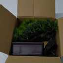 Der Rose 8'' Artificial Bonsai Tree Small Fake Potted Plants for Zen Japanese Home Office Desk Bathroom Shelf Decor (Pine)