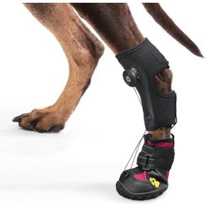Drop Foot Brace with Reel(No Knuckling Boot Brace) for Dog - Corrective Dog Shoes to Safely Lift Toes for Foot Issues, Arthritis, and improving Walking gait in Dogs,Patent Pending(XL) 
