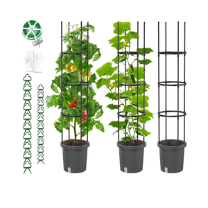 2 Pack Planter with Trellis for Climbing Plants Outdoor, Self Watering Raised Garden Bed Planter Box, Tomato Cage Garden Trellis Plant Support for Climbing Vegetables Flowers Indoor