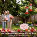 Hummingbird Feeders for Outdoors Hanging, BOLITE Glass Hummingbird Feeder, 4 Bee Guard Feeding Ports, Built-in Ant Moat, Leak Proof, 15 Ounces, Stars Decor, Red, 2 Pack, Gifts for Women Men