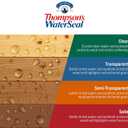 Thompsons WaterSeal Semi-Transparent Waterproofing Wood Stain and Sealer, Desert Tan, 1 Gallon