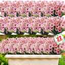 22 Pack Artificial Flowers Outdoor Fake Plants, Faux Flowers UV Resistant with Plastic Plants, Faux Silk Flowers for Outdoors Outside Front Porch Hanging Planter Window Box Garden Decoration(Pink)